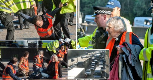 ‘Reckless’ M25 protesters run onto high-speed lanes to try and block traffic again