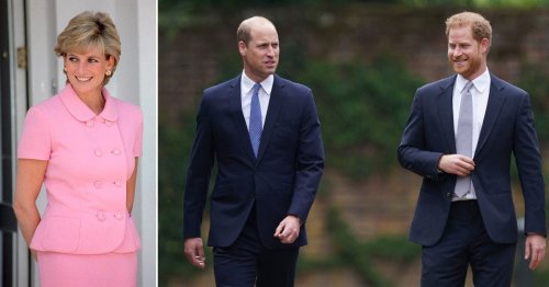 Diana ‘would be splitting time between US and UK’ for Harry and William