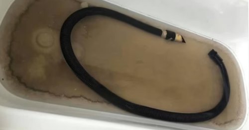 Shocking photo proves the importance of cleaning your vacuum hose