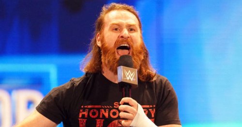 Sami Zayn hated how some ‘grumpy’ WWE veterans treated fans: ‘I don’t ever wanna be like that’