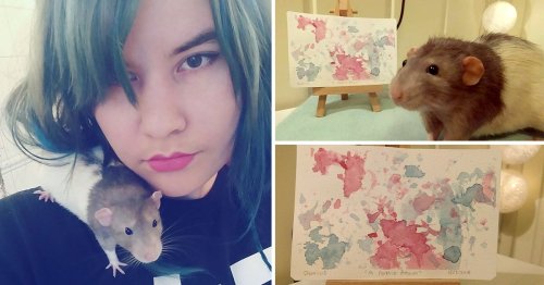 Rat who made brilliant paintings with his feet and had them sold died