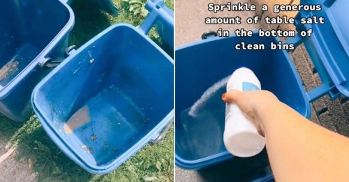 Woman reveals hack to keep flies out of your wheelie bin