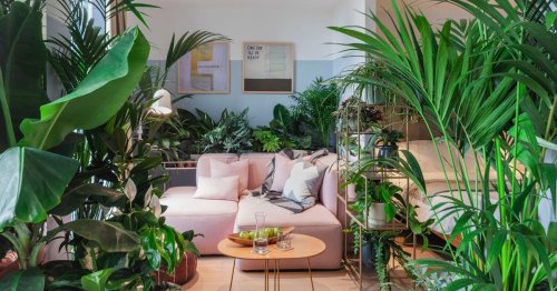 London hotel now has suites filled with houseplants to help you connect with nature