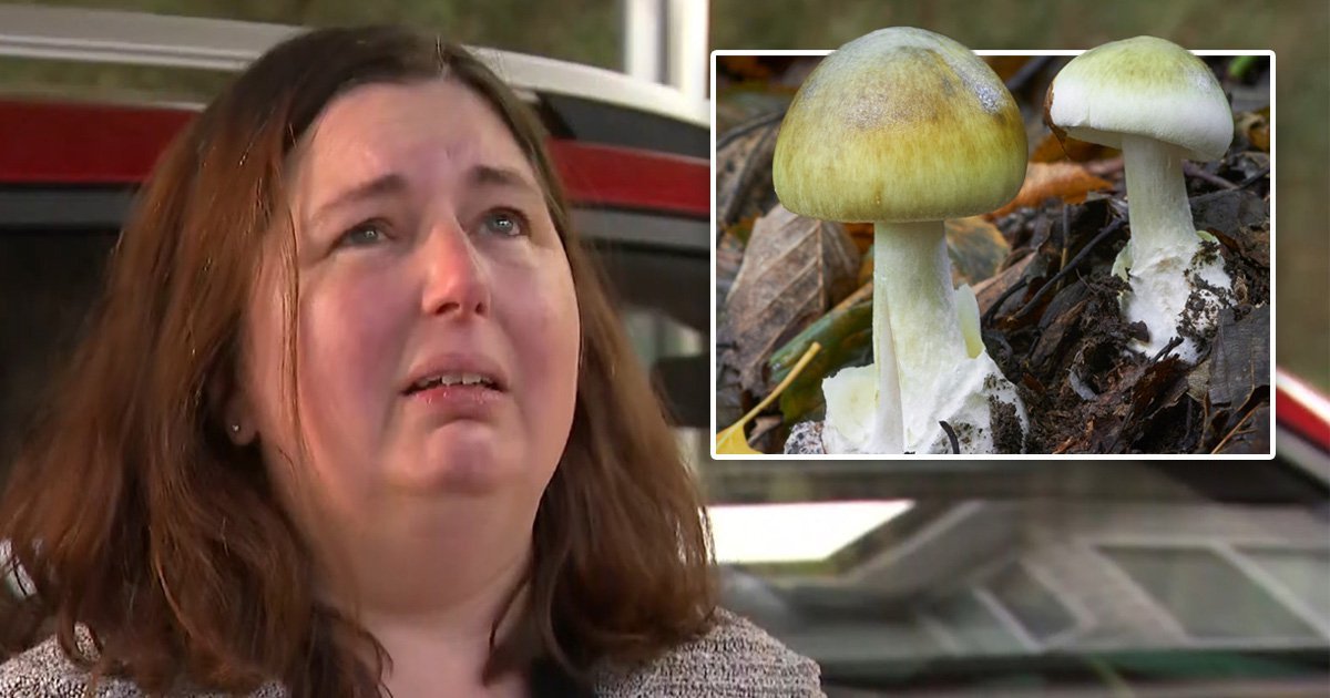 Revealed: Mum ‘fed killer mushrooms to ex’s family in iconic British dish’