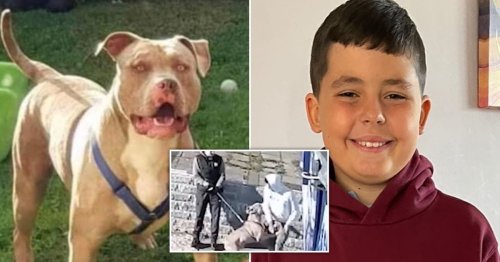 Mum of boy, 10, mauled to death by dog named ‘Beast’ condemns owners’ sentences