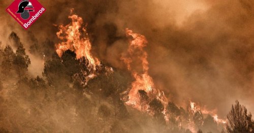 First major wildfire of 2024 raging near popular tourist destination
