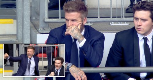 David Beckham and son Brooklyn go through all the emotions as they cheer on Manchester United ahead of defeat in FA Cup final