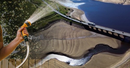 Water could be restricted for 16,000,000 people in UK ahead of potential drought