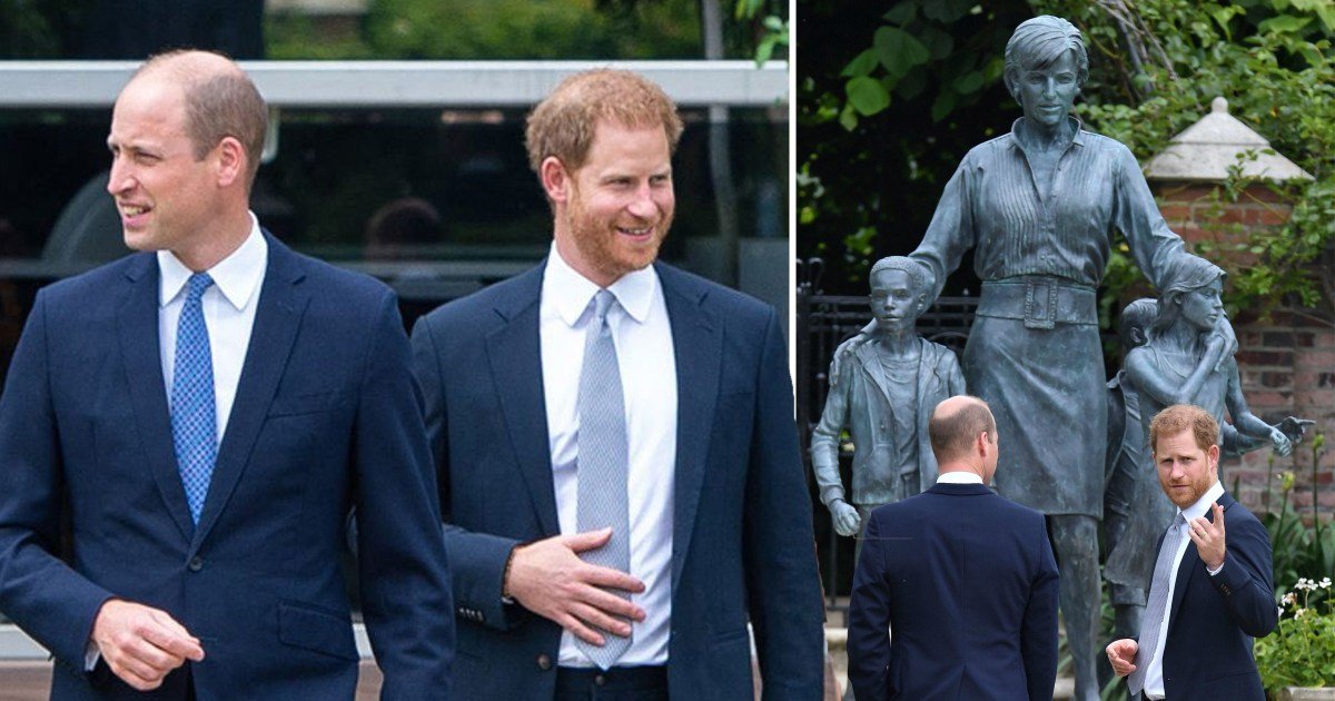 Harry ‘left 20 minutes after statue unveiled and had no heart to heart with William’