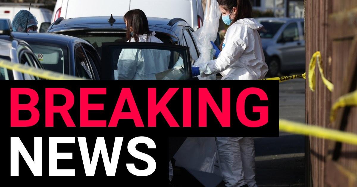 Man in his 80s dies after being attacked by XL bully dog in garden