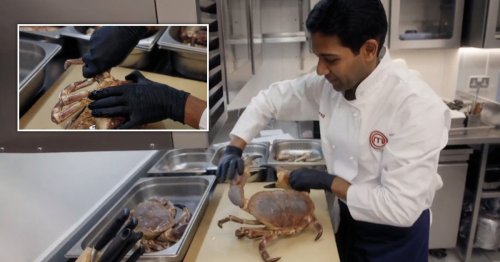 MasterChef viewers horrified after contestant rips legs and claws off live crab: ‘Barbaric and disgusting’