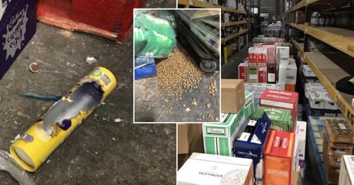 Asda store warned over squirrel in warehouse and ‘gnawed’ Cadbury wrapper