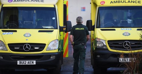 Elderly people who have suffered a fall may not get ambulance during strike