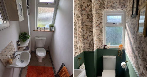Woman transforms her toilet room using DIY for just £350