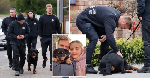 Dan Osborne picks up huge guard dog he and Jacqueline Jossa visited during lockdown as a puppy