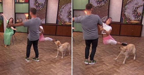 Shocking moment Strictly Come Dancing star Janette Manrara accidentally boots dog in the face on Morning Live