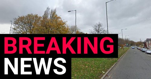 ‘Machete attacker’ arrested after rampage in Liverpool leaves several injured