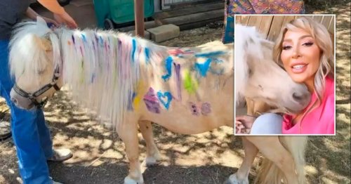 Teen Mom’s Farrah Abraham slammed for ‘animal cruelty’ after letting kids paint on horse: ‘Someone rescue this poor thing’
