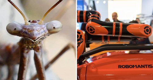 Terrifying four-legged robotic ‘praying mantis’ unveiled at CES 2018 is the stuff of nightmares