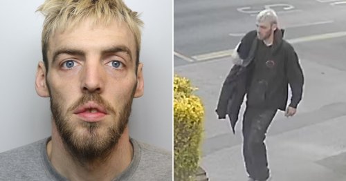 Sex Predator Used Noose To Drag Woman Off In ‘sinister’ Attack During School Run Flipboard