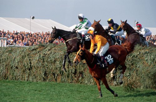 How many horses have died at the Grand National?