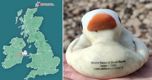 Rubber duck washes up on Scottish beach 18 years after it was released in Ireland