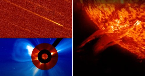 A comet’s death dive into the sun was captured on camera