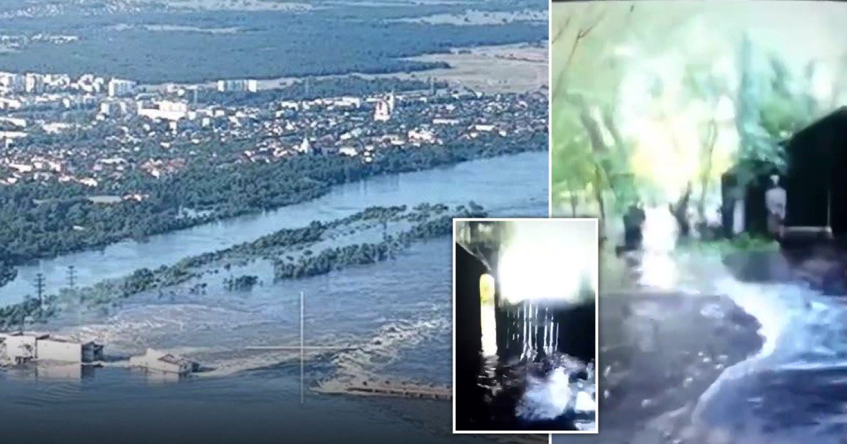 Zoo animals drown in flood water after Ukrainian dam is destroyed