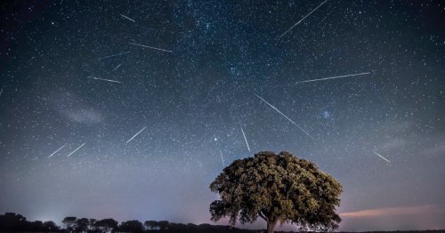 Perseids meteor shower 2022: How and when to see the best meteor shower of the year