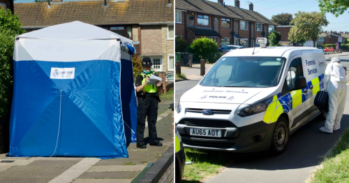 Woman, 68, ‘strangled to death’ and her house set on fire