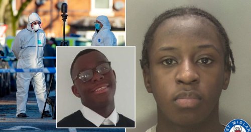 Four teenagers jailed for life for ‘evil’ murder of schoolboy Keon Lincoln