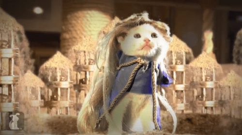 Game Of Thrones gets furry cute with cat parody video