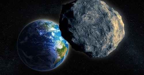 Asteroid as big as a blue whale set to zoom past Earth on Friday
