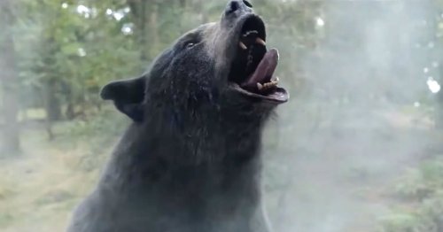 Cocaine Bear officially most bonkers trailer of the year as grizzly embarks on drug-fuelled rampage