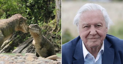 Sir David Attenborough engrossed by dinosaurs having sex on his new show Prehistoric Planet: ‘It was utterly, utterly extraordinary’