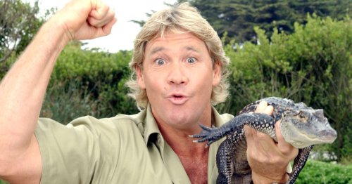 People are convinced they’ve seen footage of Steve Irwin’s death even though it was never released