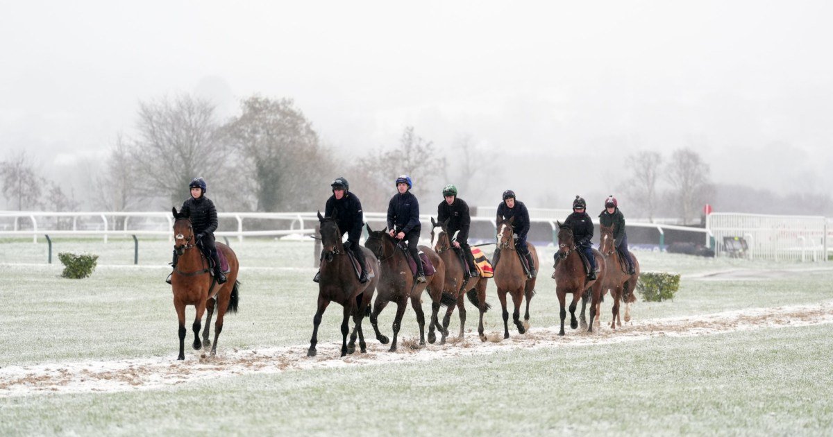 Cheltenham punters receive weather warning after snow falls at Prestbury Park