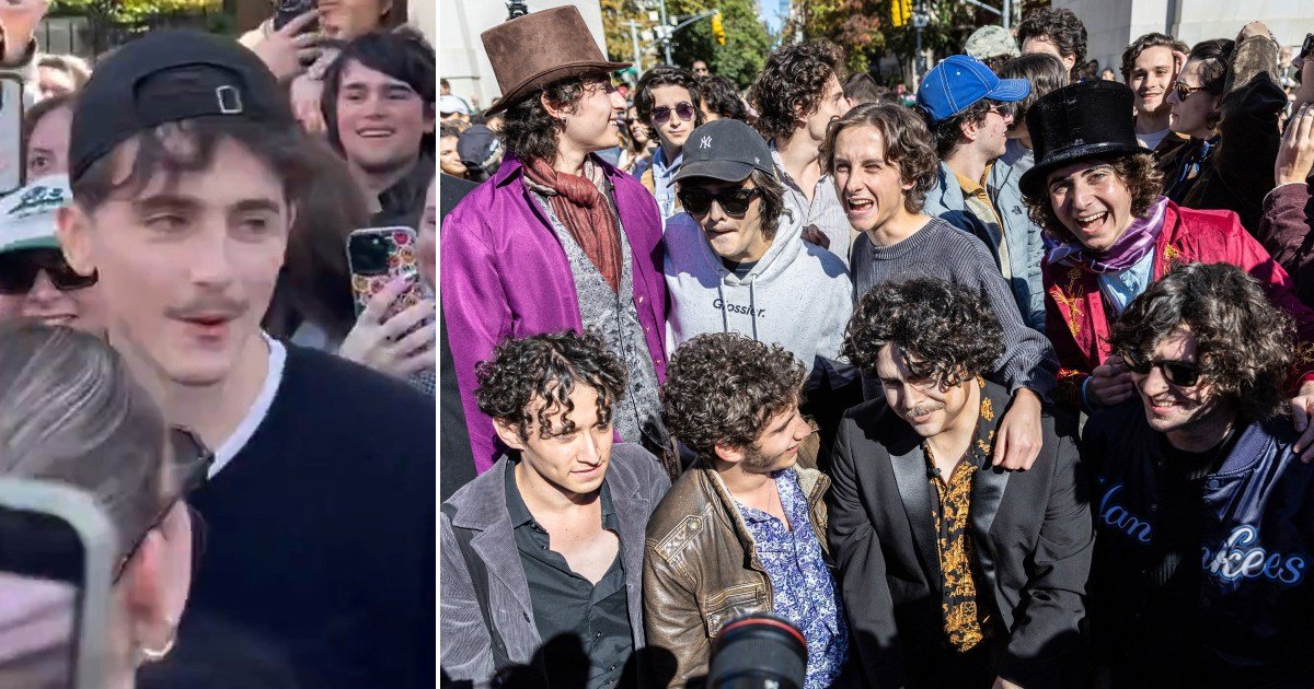 Can You Spot The Real Timothée Chalamet After Actor Crashes His Own ...