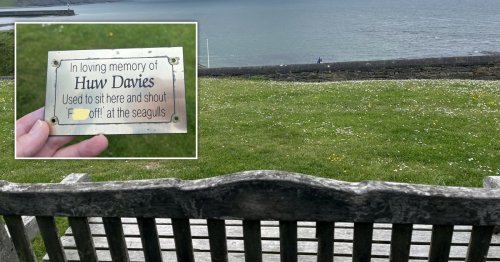 Council removes plaque for man who liked to shout ‘f**k off’ at seagulls