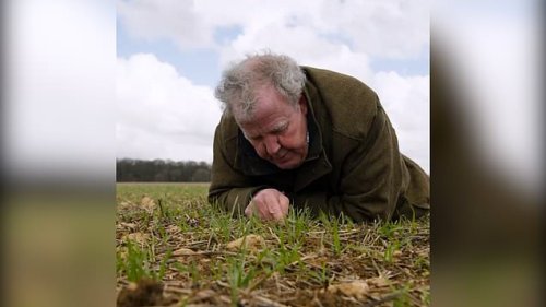 Jeremy Clarkson issues warning to thieves after discovery of rare ‘green-winged testicle’ flower on Diddly Squat farm