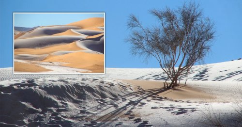 Sahara desert blanketed in rare snowfall as temperatures plunge to -2C