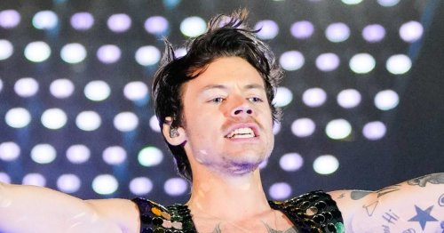 Harry Styles halts sold out London gig mid song after spotting fan in distress
