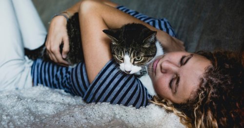 ‘Two thirds of cats’ catch Covid – especially if they share their owner’s bed