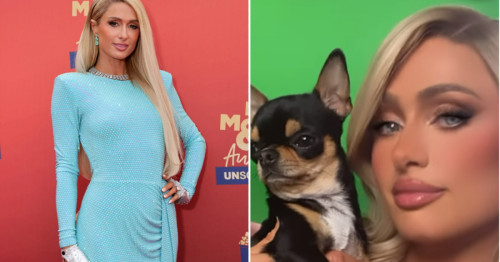 Paris Hilton told by pet mediums that her missing dog is still alive – but security warned her not to raise $10,000 reward