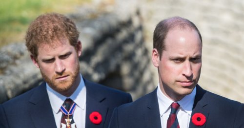 BBC hits back after viewers slam ‘disgustingly one-sided’ Prince Harry and William documentary The Princes And The Press