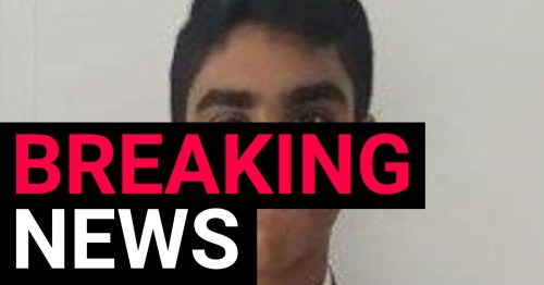 Missing schoolboy, 14, found dead in south London wood