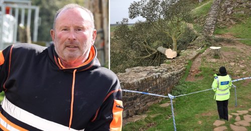 Man accused of cutting down iconic Sycamore Gap tree speaks out