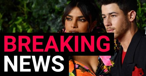 Nick Jonas and Priyanka Chopra ‘overjoyed’ to confirm birth of their first child via surrogate