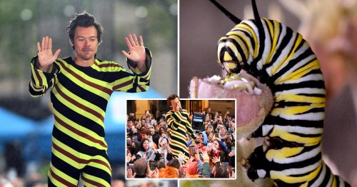 Harry Styles proves there’s no look he can’t pull off… even when he’s channeling a caterpillar