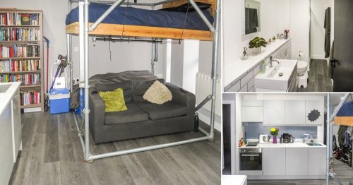 Studio flat with a bed suspended over the sofa (and right by the kitchen sink) on sale for £140,000